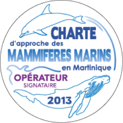 excursion nautique martinique