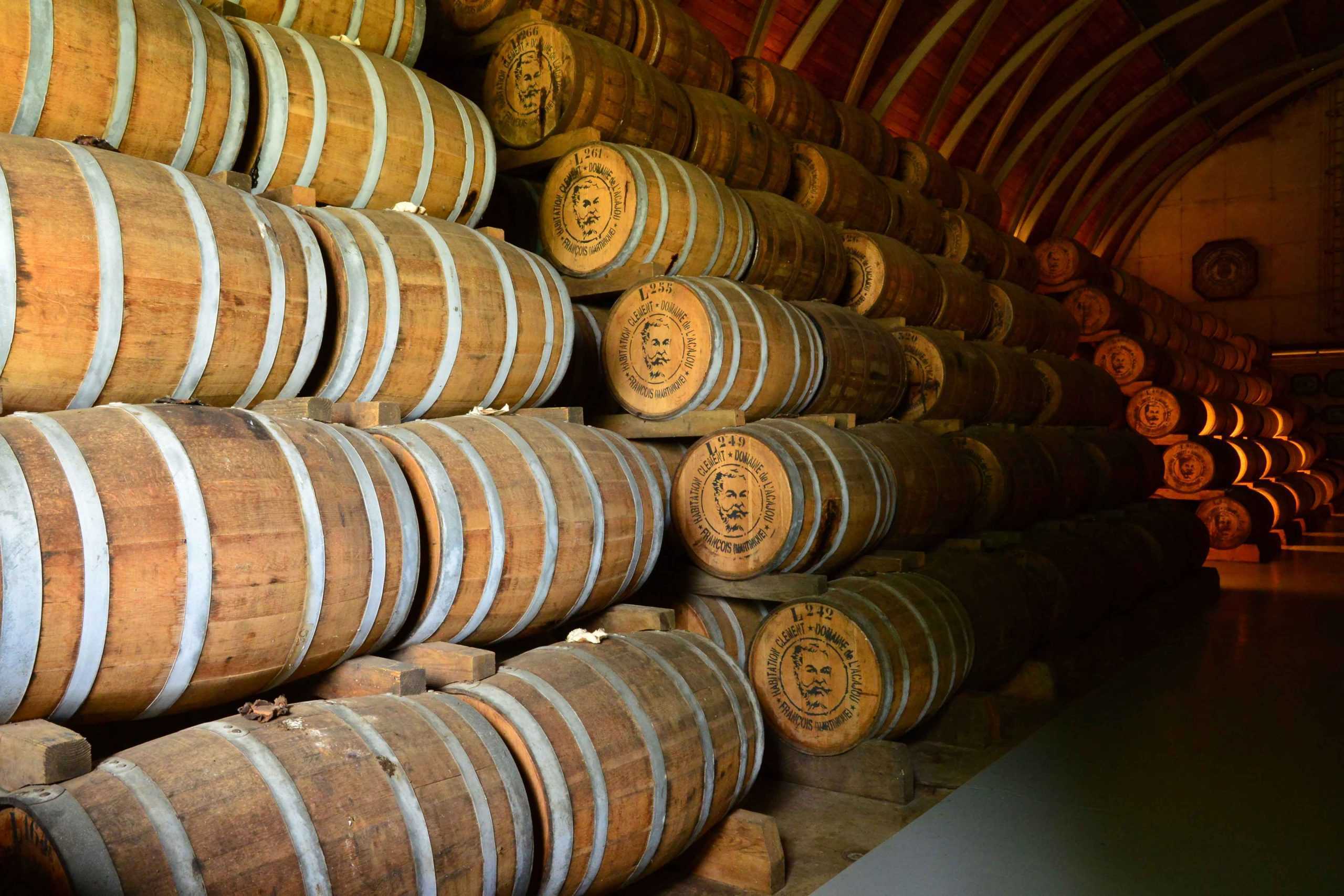 route du rhum en Martinique